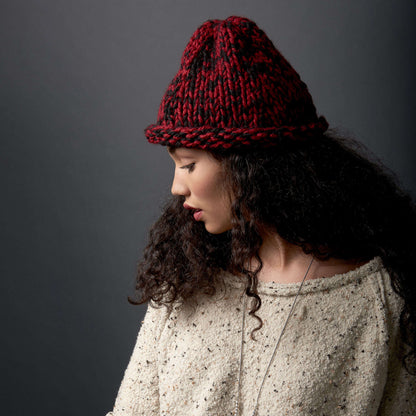 Bernat Knit Raised Beanie Pattern | gift, shades, Hats