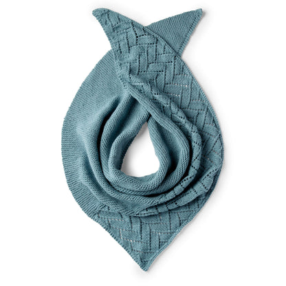 Caron Asymmetrical Lace Knit Shawl Pattern | garter stitch, Women