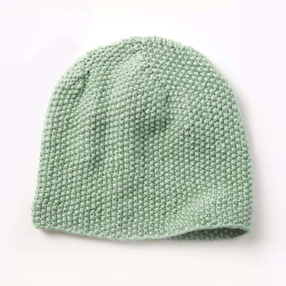 Caron Knit Seed Stitch Beanie Pattern | Simply Soft, shades, Hats