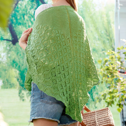 Patons Pastoral Lace Knit Shawl Pattern | stocking stitch, motif