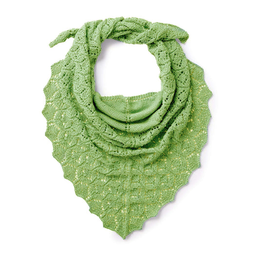 Patons Pastoral Lace Knit Shawl Pattern | stocking stitch, motif